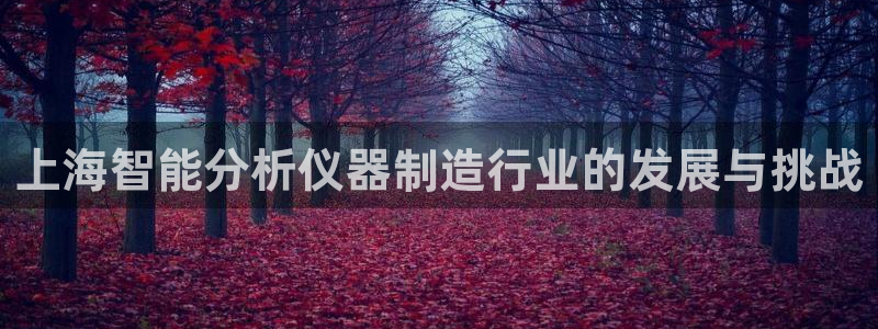 株洲天宏娱乐会所电话：上海智能分析仪器制造行业的发展与挑战