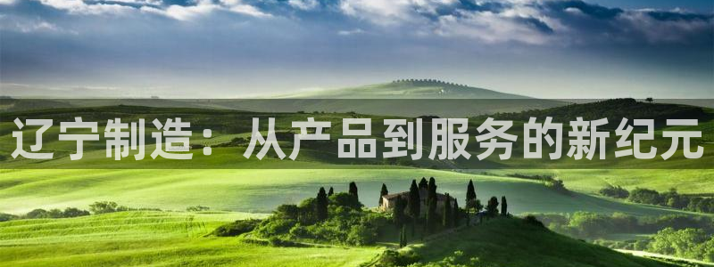 天宏娱乐q32937：辽宁制造：从产品到服务的新纪元