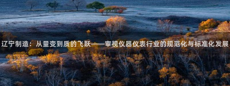 天宏娱乐何33300：辽宁制造：从量变到质的飞跃——审视仪器