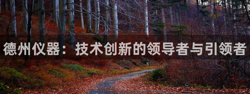 天宏娱乐老男孩成员：德州仪器：技术创新的领导者与引领者