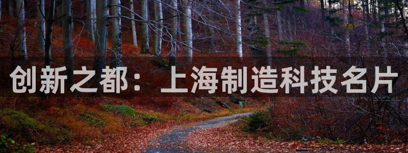 天宏娱乐平台登陆：创新之都：上海制造科技名片