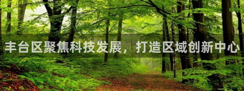 石河子天宏娱乐：丰台区聚焦科技发展，打造区域创新中心