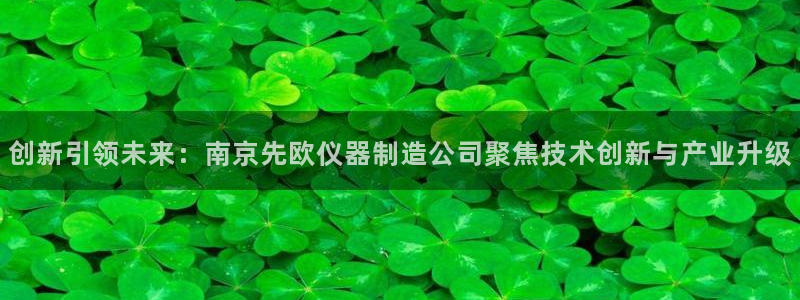 天宏娱乐彬彬叔：创新引领未来：南京先欧仪器制造公司聚焦技术创