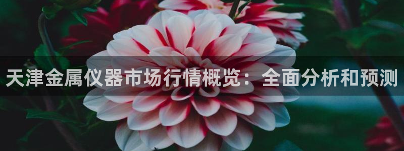 天宏娱乐直播团队名单：天津金属仪器市场行情概览：全面分析和预