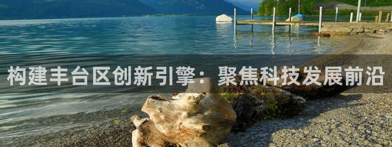 天宏2娱乐主管：构建丰台区创新引擎：聚焦科技发展前沿