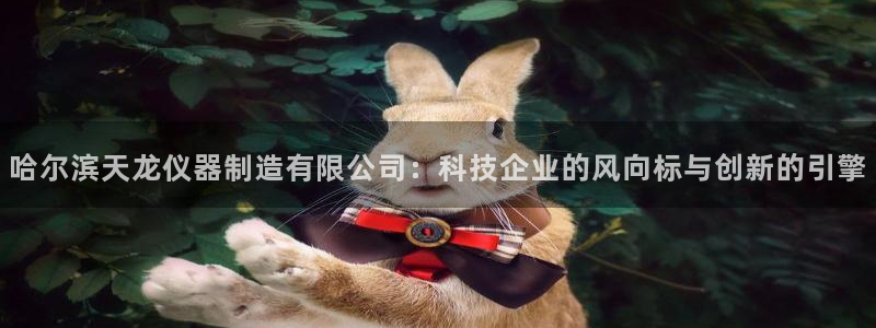 天宏娱乐宝：哈尔滨天龙仪器制造有限公司：科技企业的风向标与创