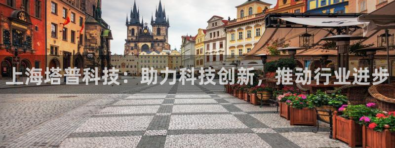 天宏娱乐湖北：上海塔普科技：助力科技创新，推动行业进步